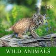 russische bücher:  - Календарь на 2018 год "Дикие животные"