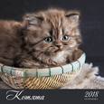 russische bücher:  - Календарь настенный перекидной на 2018 год "Домашние любимцы. Котята"