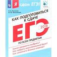 russische bücher: Логинова Ольга Борисовна - Как подготовиться к сдаче ЕГЭ по всем предметам