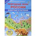 russische bücher:  - Природные зоны России. Животные и растения. Обучающий плакат (+ 80 наклеек)
