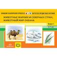 russische bücher: Нищева Наталия Валентиновна - Картотека предметных картинок. Наглядный дидактический материал. Выпуск 5. Животные жарких и северных стран, животный мир океана. 3-7 лет