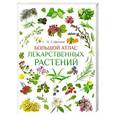 russische bücher: Сафонов Н.Н. - Большой атлас лекарственных растений
