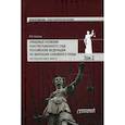 russische bücher:  - Правовые позиции Конституционного Суда Российской Федерации по вопросам семейного права. Том 2