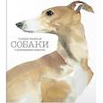 russische bücher: Хайленд Э., Уилсон К. - Такие разные собаки в произведениях искусства