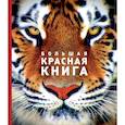 russische bücher: Скалдина Оксана Валерьевна, Слиж Евгений Александрович - Большая красная книга (стерео-варио) 