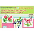 russische bücher: Нищева Наталия Валентиновна - Картотека предметных картинок. Наглядный дидактический материал. Выпуск № 6. Садовые и лесные ягоды