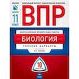 russische bücher: Рохлов Валериан Сергеевич - ВПР. Биология. 11 класс. Типовые варианты: 10 вариантов