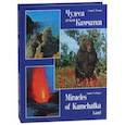 russische bücher: Нечаев Андрей - Чудеса земли Камчатки