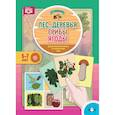russische bücher: Куликовская Татьяна Анатольевна - Лес. Деревья. Грибы. Ягоды. Дидактический материал по лексической теме. 5-7 лет. ФГОС