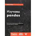 russische bücher: Хейдт Майкл - Изучаем pandas. Высокопроизводительная обработка и анализ в Python