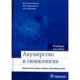 russische bücher: Каптильный Виталий Александрович, Беришвили Манана Владимировна, Мурашко Андрей Владимирович - Акушерство и гинекология. Практические навыки и умения с фантомным курсом. Учебное пособие