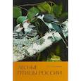 russische bücher: Михайлов К. - Лесные птицы России