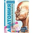 russische bücher: Петрова Ю. А., Субботина Л. Е., Банникова Н. В. - Энциклопедия Анатомия 4D