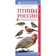 russische bücher: Митителло К.Б. - Птицы России. Наглядный карманный определитель