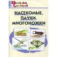 russische bücher:  - Насекомые, пауки, многоножки. Начальная школа