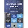 russische bücher: Деменкова Наталья Геннадьевна, Стариков Илья Юрьевич, Игнатова Мария Сергеевна - Конституционное право в схемах и таблицах. Учебное пособие