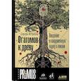 russische bücher: Ястребов С. - От атомов к древу. Введение в современную науку о жизни