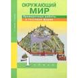 russische bücher: Чуракова Роза Гельфановна - Окружающий мир. 1 класс. Проверочные работы в тестовой форме