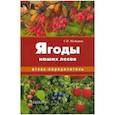 russische bücher: Майоров Сергей Робертович - Ягоды наших лесов. Атлас-определитель
