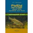 russische bücher: Васильева Екатерина Денисовна - Рыбы рек и озёр средней полосы Европейской части России. Популярный атлас