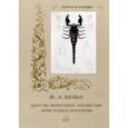 russische bücher: Кювье Жорж-Леопольд - Царство животных. Членистые. Аннелиды и арахниды