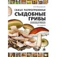 russische bücher: Вишневский Михаил Владимирович - Самые распространенные съедобные грибы. Справочник-определитель начинающего грибника