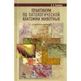 russische bücher: Салимов Виктор Андреевич - Практикум по патологической анатомии животных