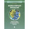 russische bücher: Спирин Александр Сергеевич - Молекулярная биология. Рибосомы и биосинтез белка. Учебное пособие