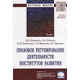 russische bücher: Демченко М.В., Ручкина Г.Ф., Терехова Е.В., Петюко - Правовое регулирование деятельности институтов развития: Монография