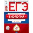 russische bücher: Рохлов Валериан Сергеевич - ЕГЭ-2019. Биология. Типовые экзаменационные варианты. 30 вариантов