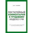 russische bücher: Чашин Александр Николаевич - Постатейный комментарий к Трудовому кодексу РФ