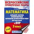 russische bücher: Воробьёв Василий Васильевич - Математика. Большой сборник тренировочных вариантов проверочных работ для подготовки к ВПР. 5 класс