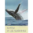 russische bücher: Филатова О. - Киты и дельфины