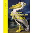 russische bücher: Эйвери М. - Восхитительные птицы