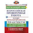 russische bücher: Волкова Елена Васильевна - Всероссийская проверочная работа за курс начальной школы. Окружающий мир. Практикум. ФГОС