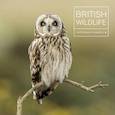 russische bücher: Gowan Maggie - British Wildlife. Photography Awards 9
