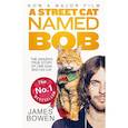 russische bücher: Bowen James - A Street Cat Named Bob. How one man and his cat found hope on the streets