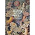russische bücher: Ред. Пантилеева А. - Красота форм в природе
