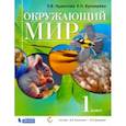 russische bücher: Чудинова Елена Васильевна - Окружающий мир. 1 класс. Учебник