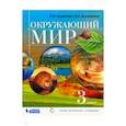 russische bücher: Чудинова Елена Васильевна - Окружающий мир. 3 класс. Учебник. ФГОС