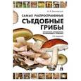 russische bücher: Вишневский М.В. - Самые распространенные съедобные грибы. Справочник-определитель начинающего грибника