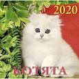 russische bücher:  - Календарь 2020 "Котята"