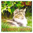 russische bücher:  - Календарь 2020 "Кошки мира"