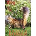 russische bücher:  - Календарь 2020 "Просто кошки" (12010)