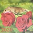 :  - Календарь 2020 "Год крысы и мыши" (70022)