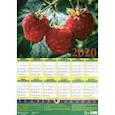 :  - Календарь настенный на 2020 год "Малина. Лунный календарь садовода" (90017)