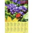 :  - Календарь настенный на 2020 год "Божья коровка с незабудками" (90011)