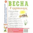 russische bücher:  - Весна в картинках. Наглядное пособие для педагогов, логопедов, воспитателей и родителей