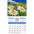 :  - Календарь 2020 "Ромашки" (20016)