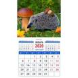 :  - Календарь 2020 "Ежик с грибом" (20019)